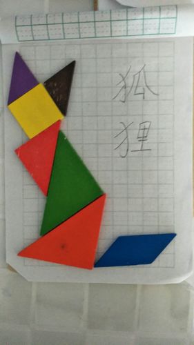 张浩宇的狐狸