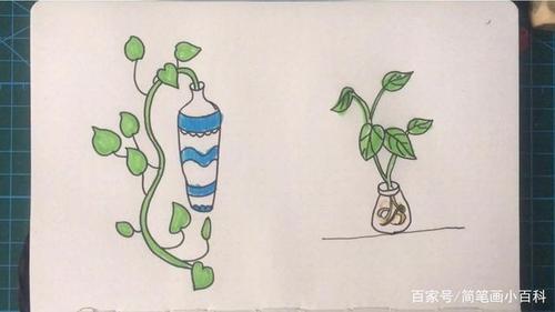 简笔画绿箩的画法,记得收藏哦