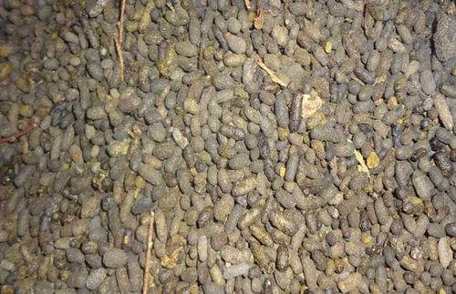 灵脂)两种,为复齿鼯鼠的粪便与尿液的混合物夹以少量砂石干燥凝结而成