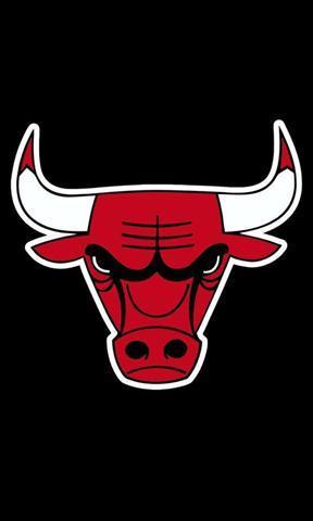 芝加哥公牛队动态壁纸 (6分)