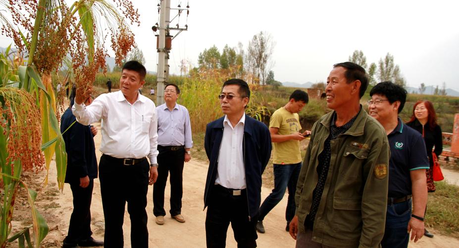 市政协开展"三基建设"助推精准扶贫主题党日活动