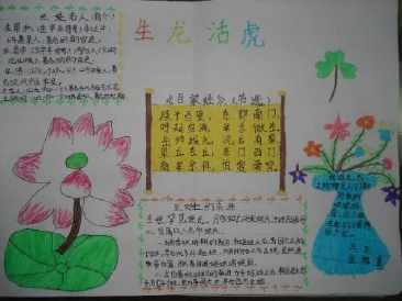 姓氏歌与猜字迷手抄报手抄报模板大全
