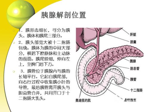 胰十二指肠切除术