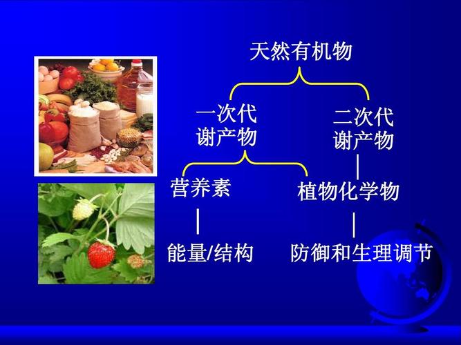 天然有机物 一次代 谢产物 营养素 能量/结构 二次代 谢产物 植物化学