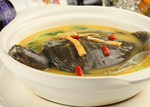 参灵煮甲鱼