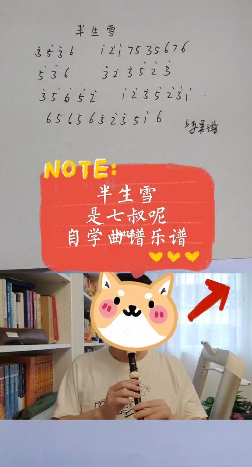 半生雪竖笛自学曲谱简谱