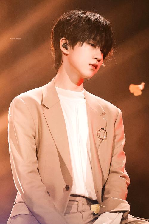 贺峻霖 | 时代少年团五月粉丝见面会实况(上火2)舞台饭拍高清壁纸合集