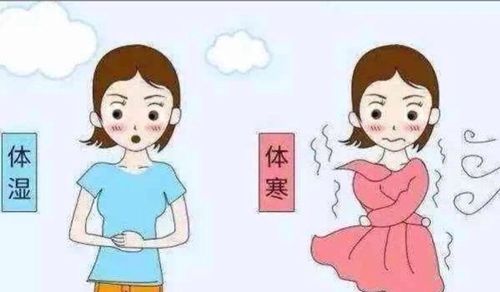 你为什么体寒?