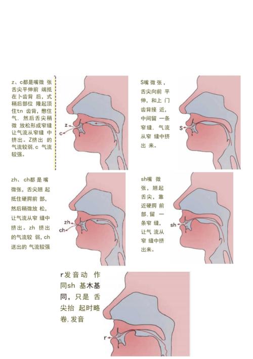 汉语拼音口型大全.docx 4页