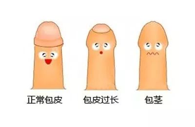 邪恶漫画 头像龟头