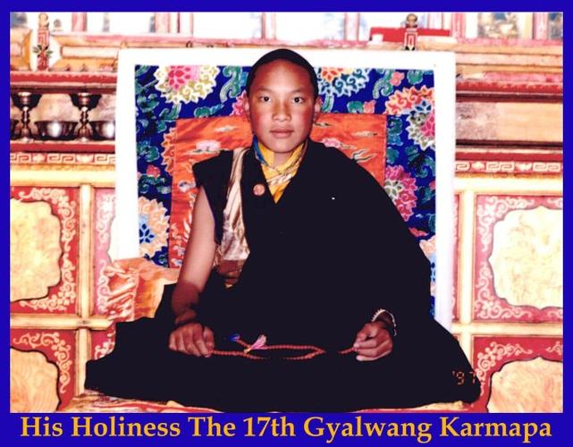 第十七世大宝法王噶玛巴·邬金钦列多杰略传