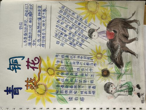 青铜葵花阅读手抄卡