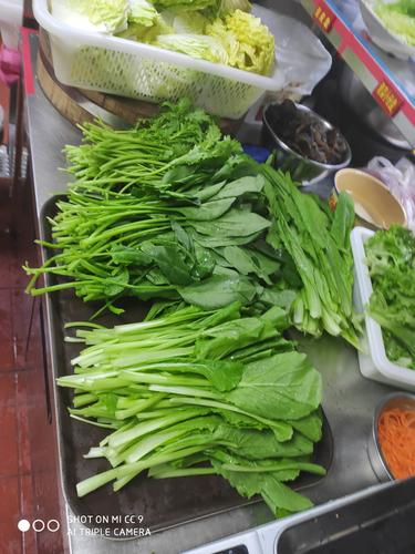 陈火锅青菜拼盘