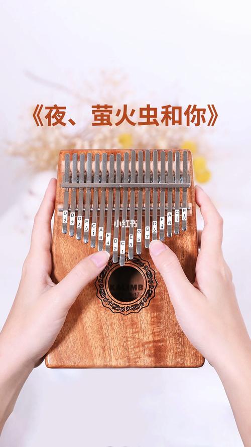 《夜,萤火虫和你》拇指琴弹奏_夏天去哪玩_拇指琴_影视_音乐