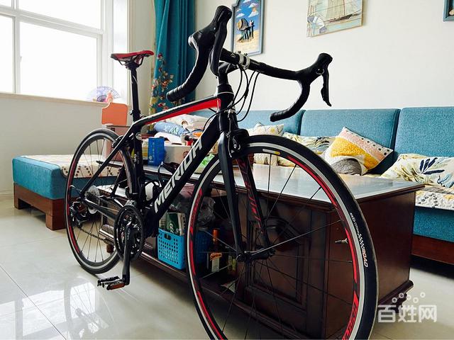 美利达斯特拉95