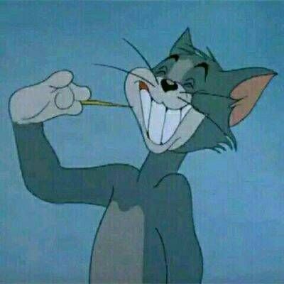 汤姆猫头像搞笑单人图片汤姆猫图片大全可爱