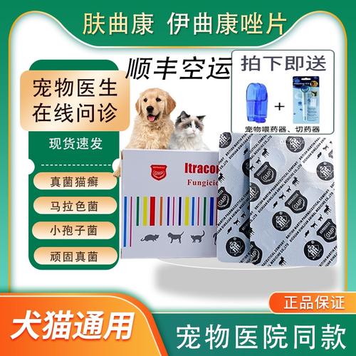 伊曲康唑猫