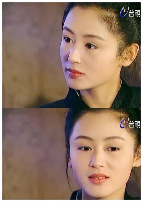 内地第一美人陈红年轻时究竟有多美巅峰期曾艳压10位顶级美人