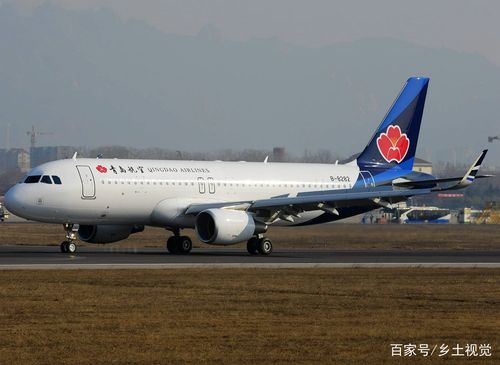 青岛航空:成立仅仅五年的航空公司,飞出不一样的天地