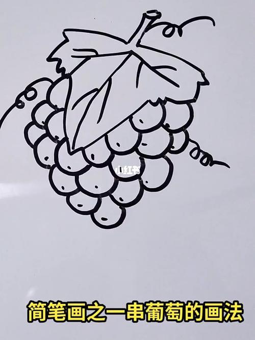 简笔画之一串葡萄的画法_简笔画_绘画_文化_绘画