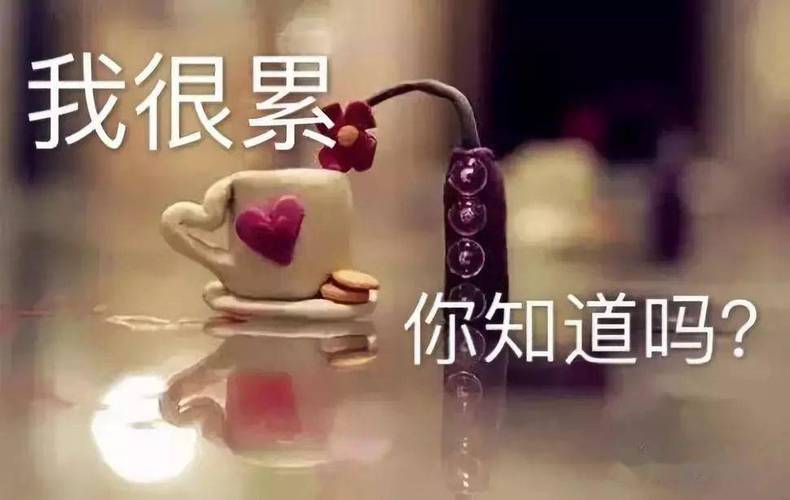 心痛的句子,伤感的说说 ,心好累了