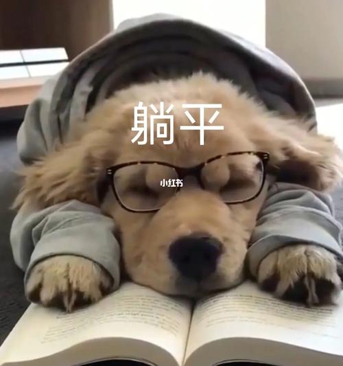 傻乎乎的表情包_表情包_表情包分享_素材_表情包