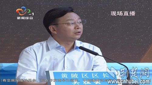 黄陂区区长吴祖云现场承诺一定将离村民住宅近的养鸡场搬离