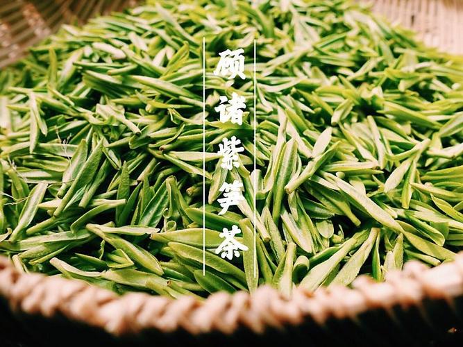 全国包邮2017新茶长兴特产顾渚紫笋茶 大唐贡茶 古树紫笋绿茶500g