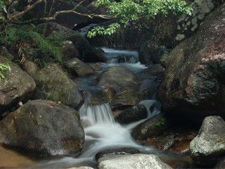  新丰云髻山温泉自驾2日游>宿度假山庄标双房 探寻红叶之旅