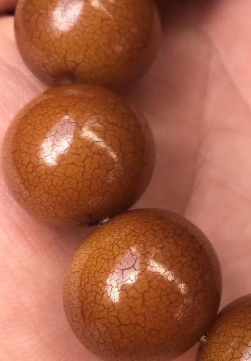 文玩圈最励志的草根——菩提根