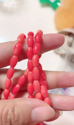 市面上流通的这种红珊瑚都是假的!作假海竹