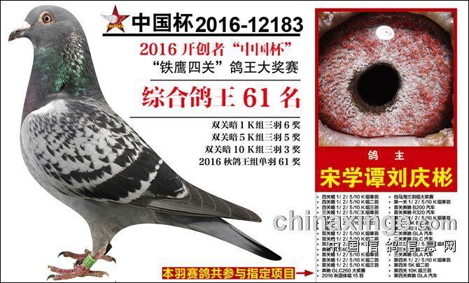 2016年61名_辽宁宋学潭_ag188.com爱鸽商城_中国信鸽