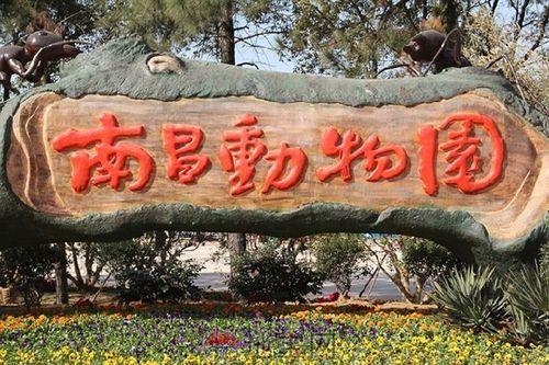 【最美丽的风景】南昌动物园游玩全攻略