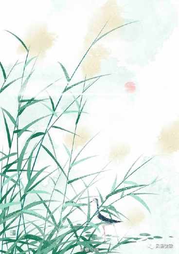 蒹葭诗经手抄报简单