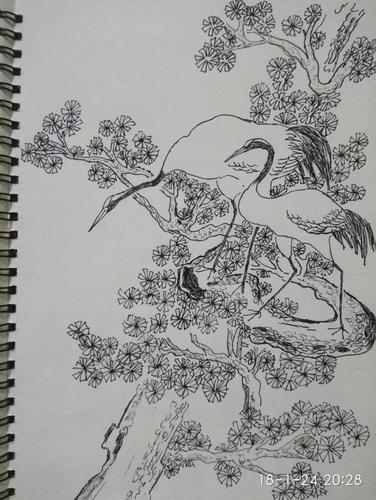 素描画室"每周一画"第02期