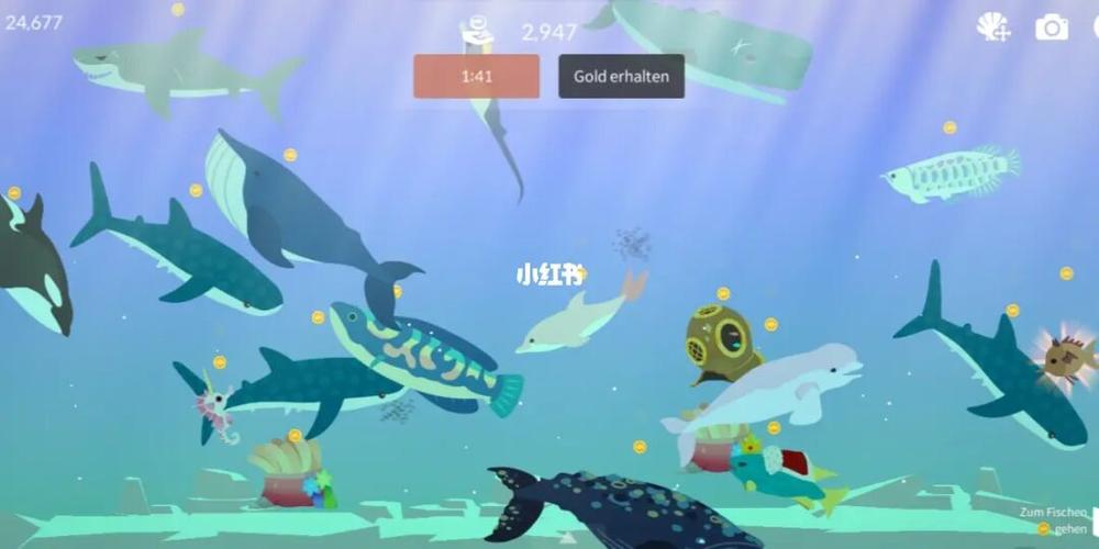 fishinglife_fishinglife_生活记录_接地气生活