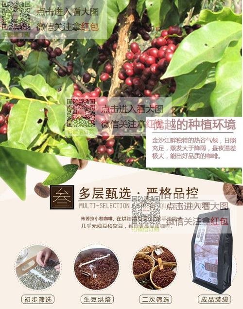云南朱苦拉小粒咖啡粉中度意式烘培浓香醇黑咖啡粉袋装454克