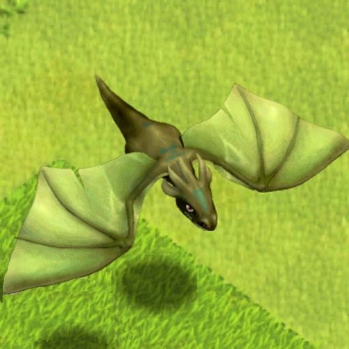 dragon