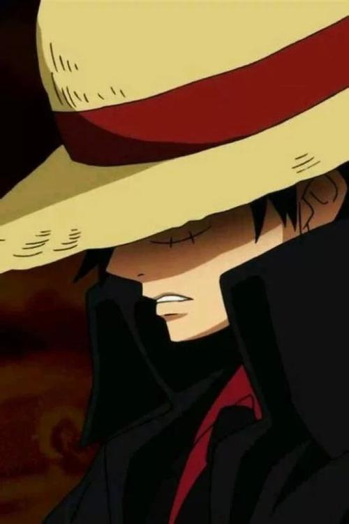 海贼王#西装路飞#强者世界