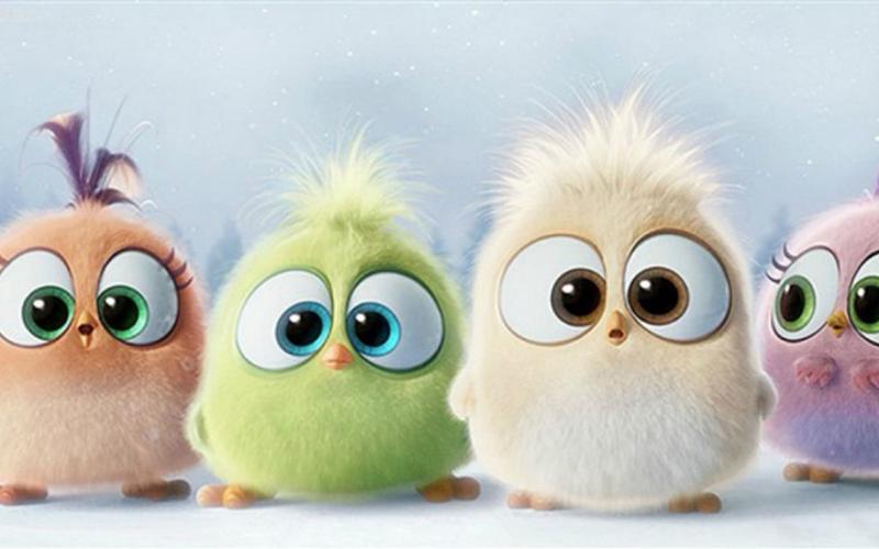 愤怒的小鸟圣诞海报壁纸(2/6)