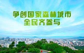 汉中创建国家森林城市黑板报森林防火黑板报图片素材