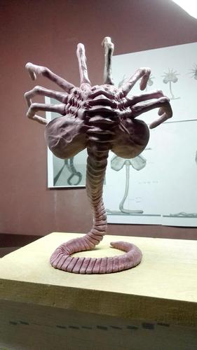 异形抱脸虫在你身边惊艳出世