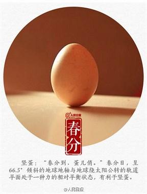 竖个蛋