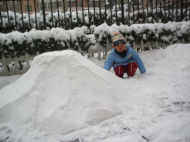 爸爸要堆一个雪人,就用锹背把雪堆拍平.