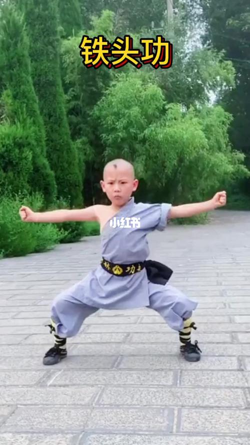 铁头功,为少林寺七十二项秘传绝技内外功夫之硬功外壮功法,属阳刚之