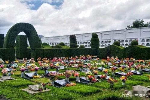 世界花园篇—墓地花园