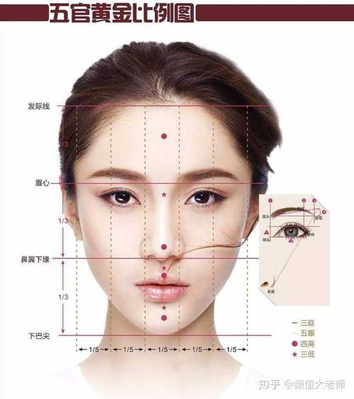 五官的黄金比例