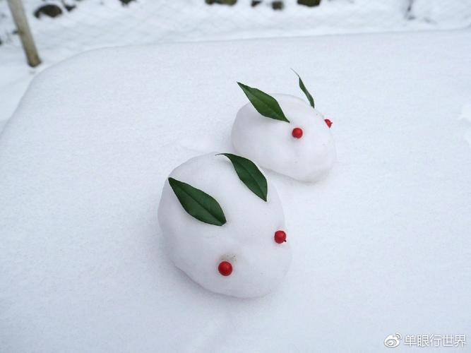萌萌哒雪兔子,这设计拍摄也真是萌翻了~ 676767