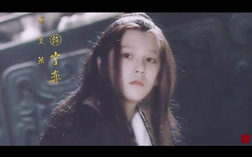 翁斐然