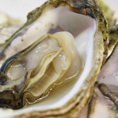 【包邮】农佳优选 乳山海蛎子新鲜生蚝 单个125-150g